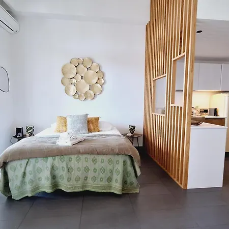Superbe Loft Avec Terrasse Montfleury Apartment Cannes